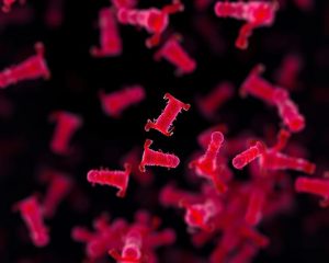 Bartoneloza: objawy, diagnostyka i metody leczenia choroby