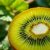 Kiwi – odkryj zdrowotne właściwości i korzyści dla organizmu